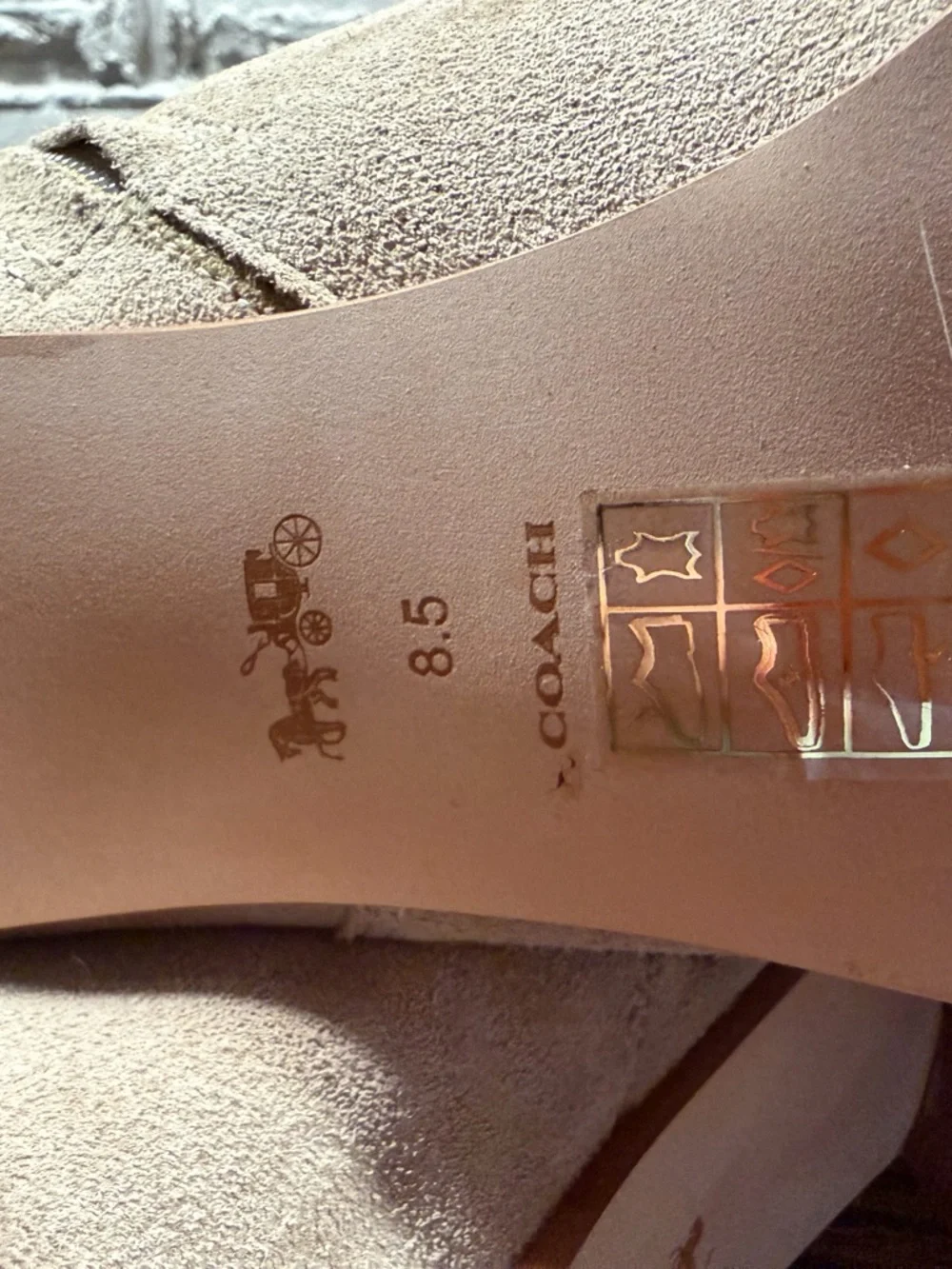 Coach Taupe Suede Ankle Booties with Buckle Charm - Picture 6 of 14